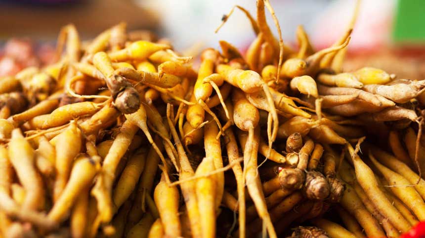 กระชาย เครื่องบดสมุนไพร